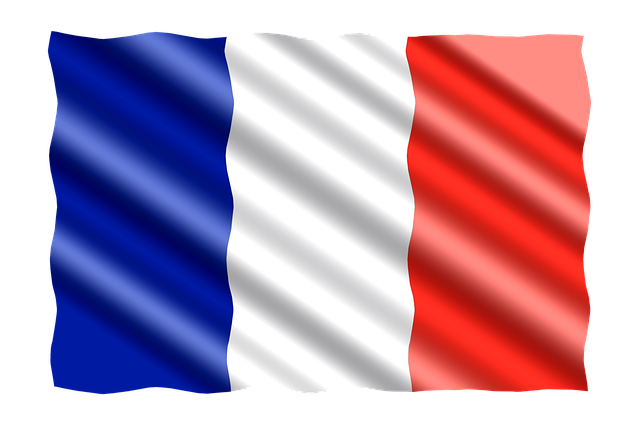 The French Flag