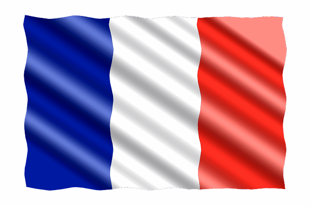 The French Flag